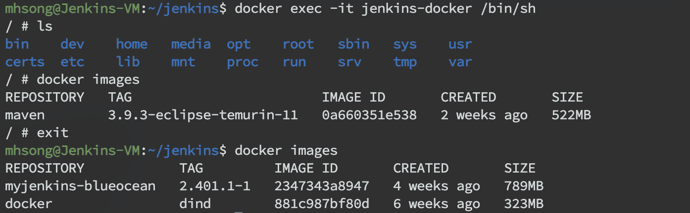 container-image-in-dind.png